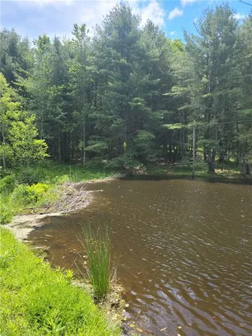 $27,900 | 275 Holl Road, Pittsfield, NY 13411