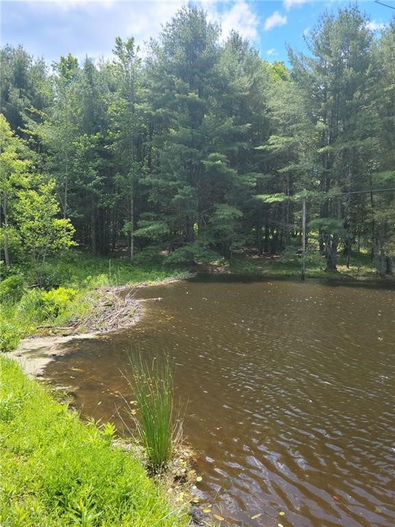 275 Holl Road Pittsfield, NY 13411 - Photo 3 of 15