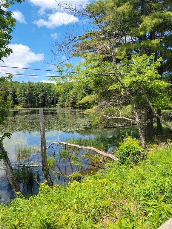 275 Holl Road Pittsfield, NY 13411 - Photo 4 of 15