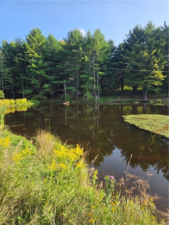 275 Holl Road Pittsfield, NY 13411 - Photo 6 of 15