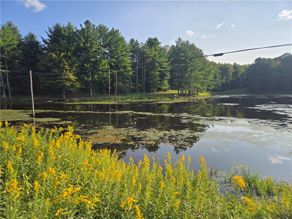 275 Holl Road Pittsfield, NY 13411 - Photo 7 of 15