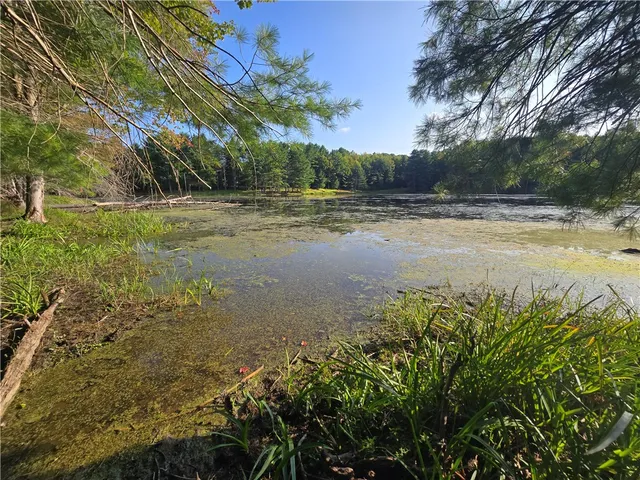 $27,900 | 275 Holl Road, Pittsfield, NY 13411