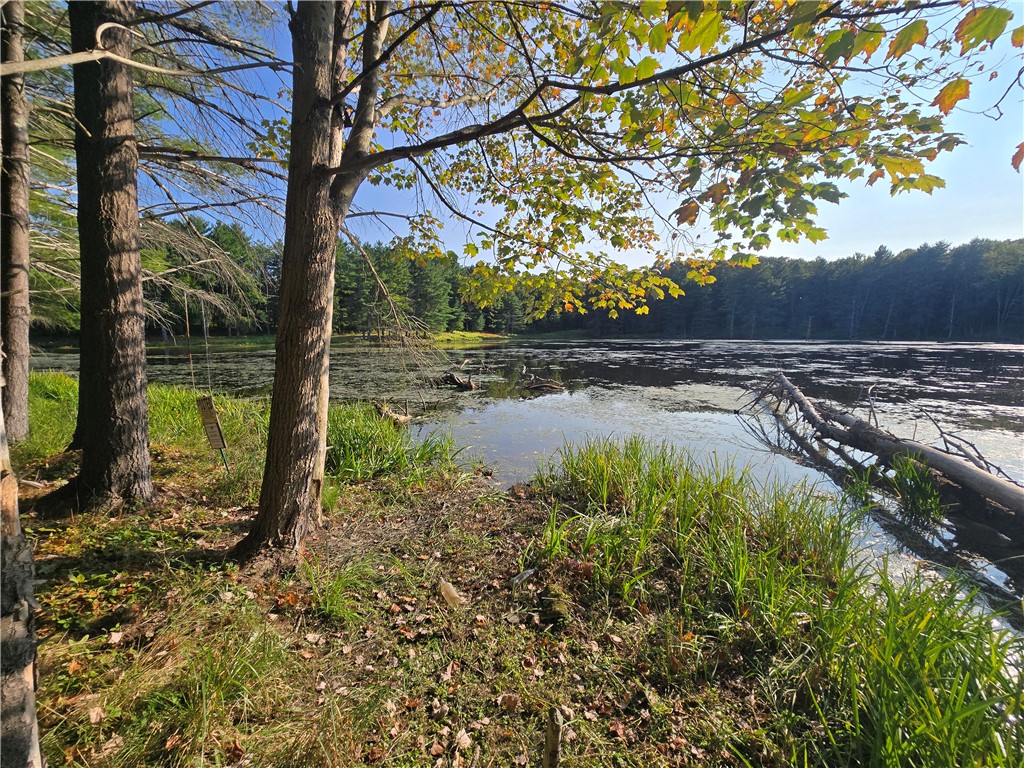 275 Holl Road Pittsfield, NY 13411 - Photo 10 of 15