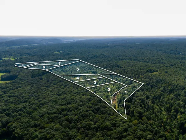 an aerial view of residential house with outdoor space
