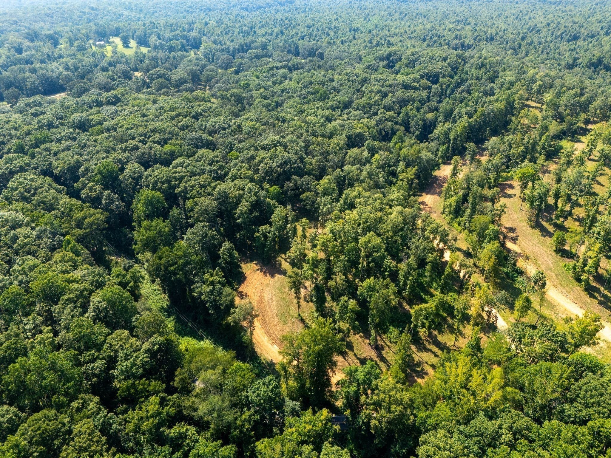 885 Dyer Road Hurricane Mills, TN 37078 - Photo 11 of 36 a view of a forest with a tree