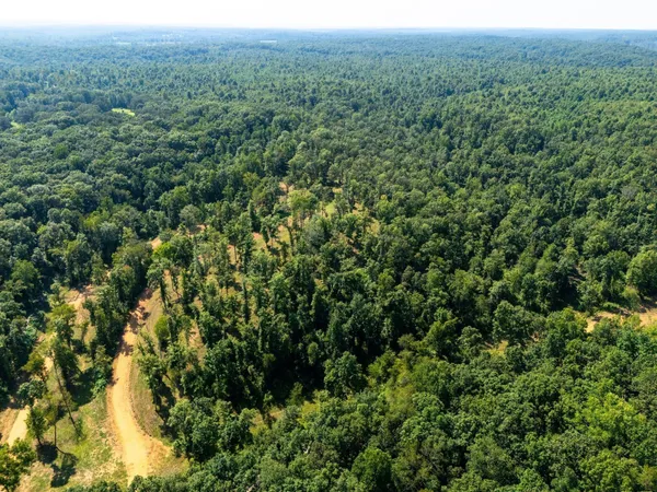 a view of a large yard with lots of green space