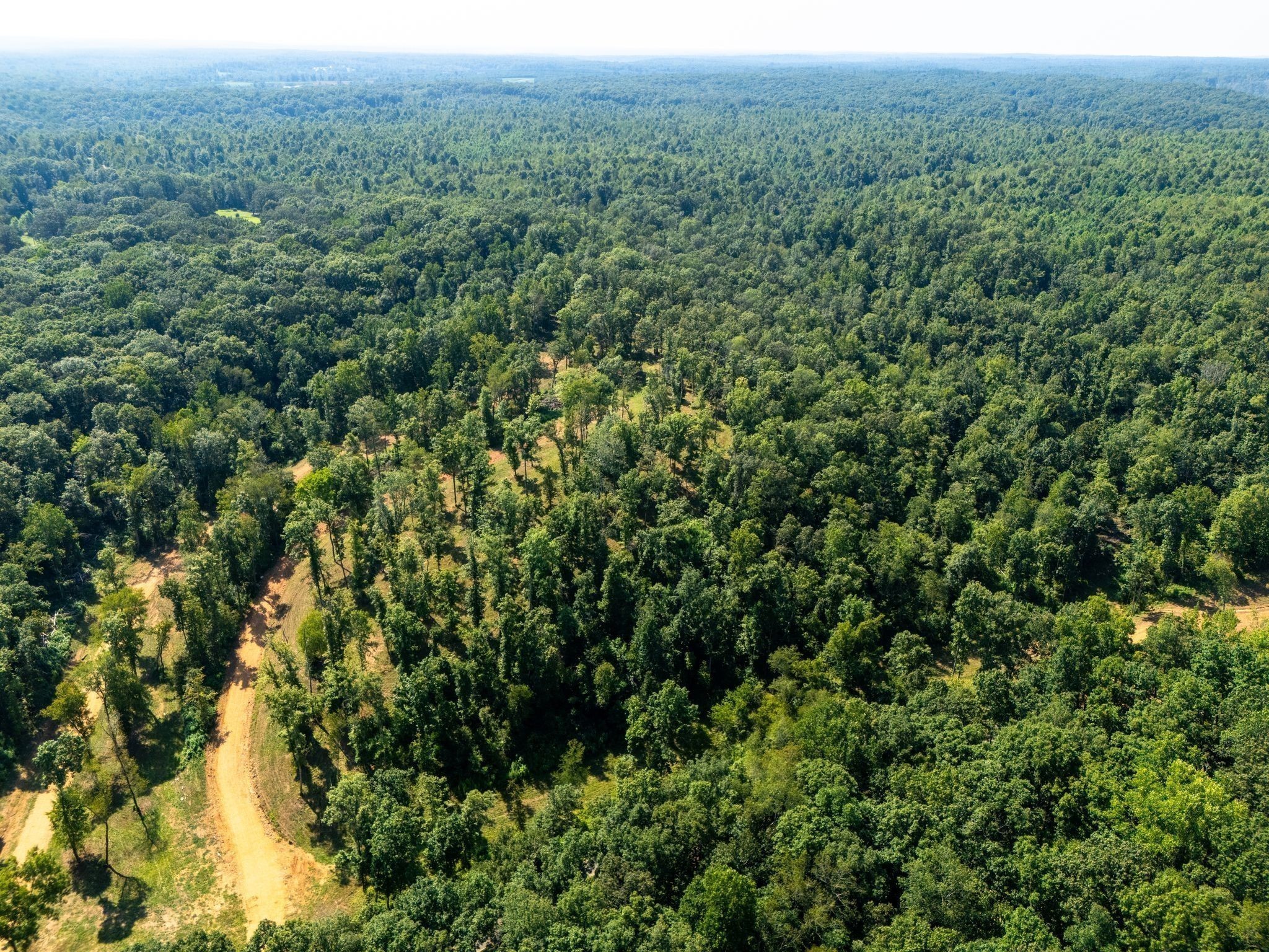 885 Dyer Road Hurricane Mills, TN 37078 - Photo 5 of 36 a view of a large yard with lots of green space