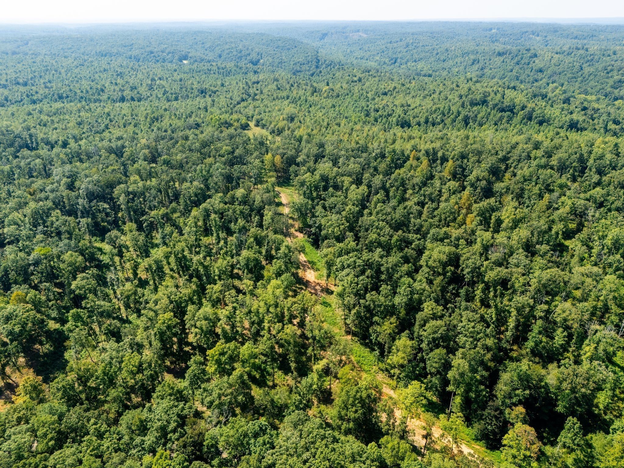 885 Dyer Road Hurricane Mills, TN 37078 - Photo 7 of 36 a view of a lush green forest with trees and houses