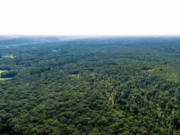 an aerial view of residential house and green space