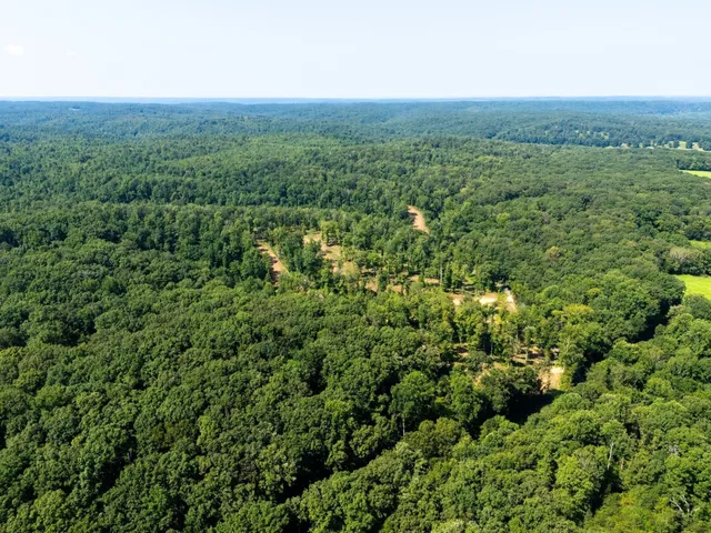 a view of a green field with lots of bushes