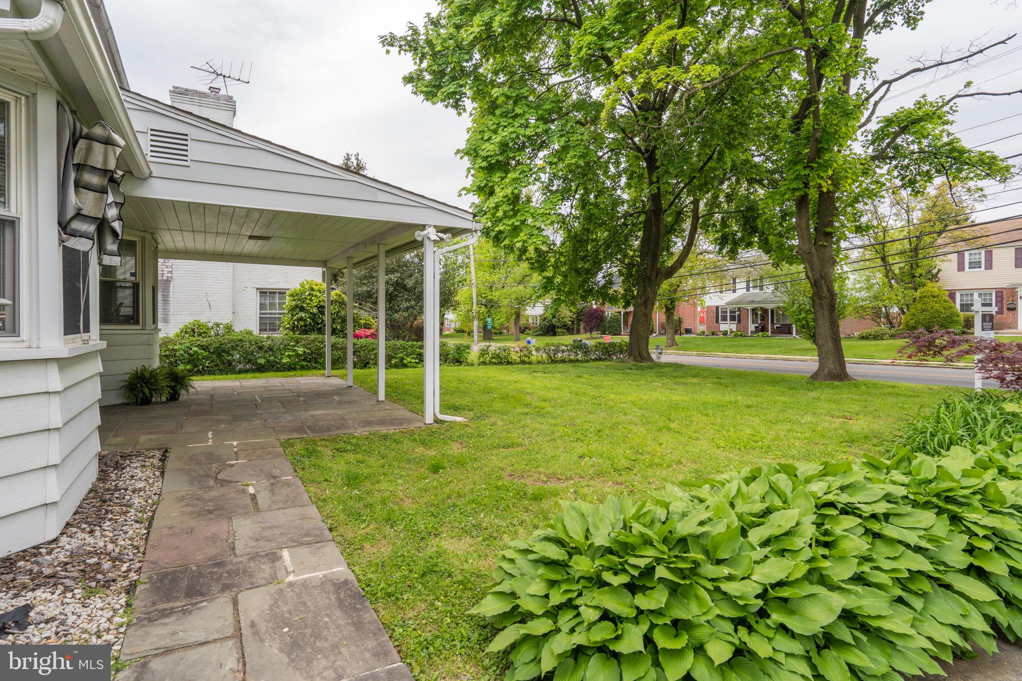 305 Earlington Road Havertown, PA 19083 - Photo 6 of 50 Two Beautiful Maple Trees