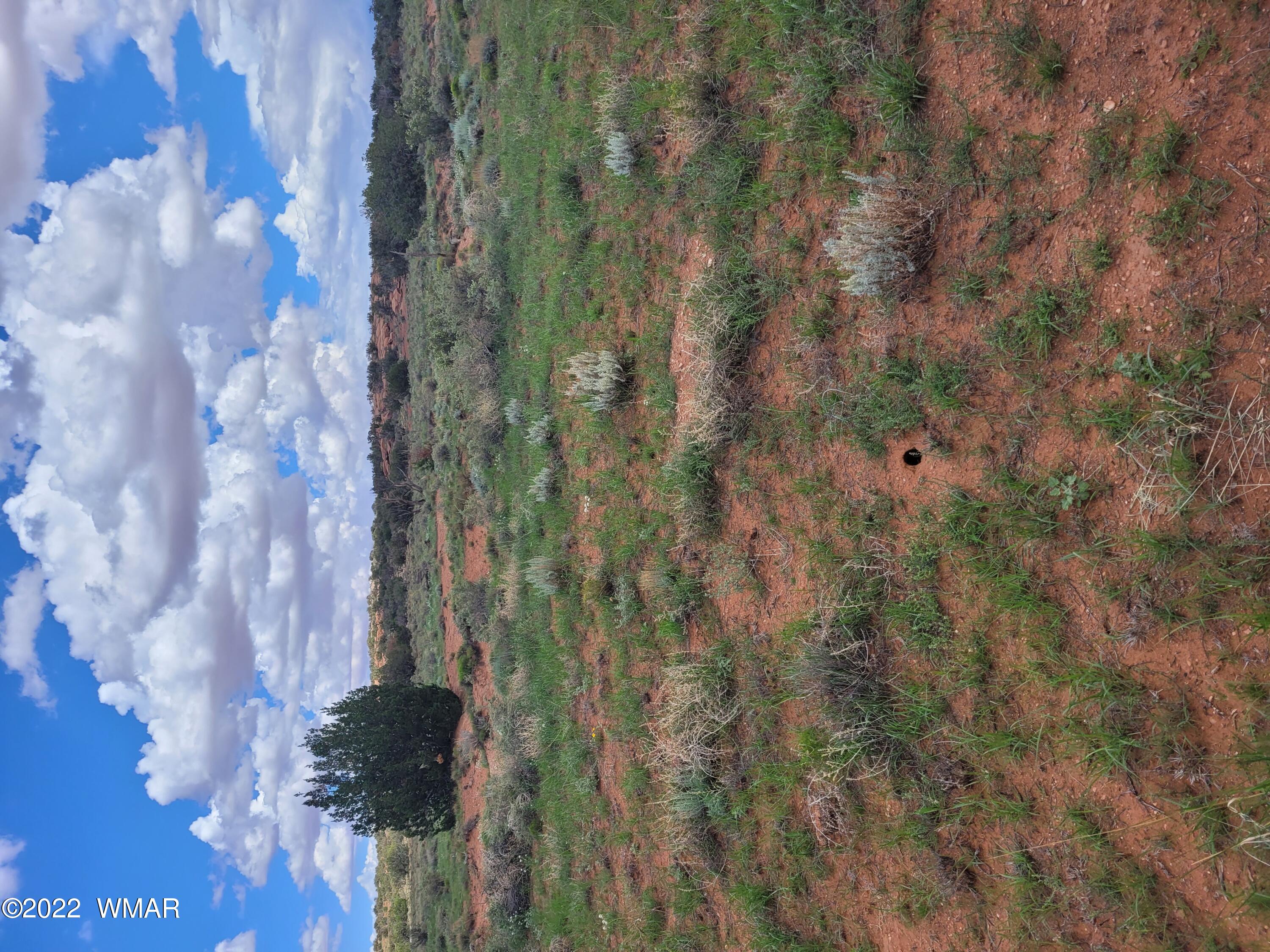 Lot 178 Chevelon Canyon Ranch Heber, AZ 85928 - Photo 1 of 5