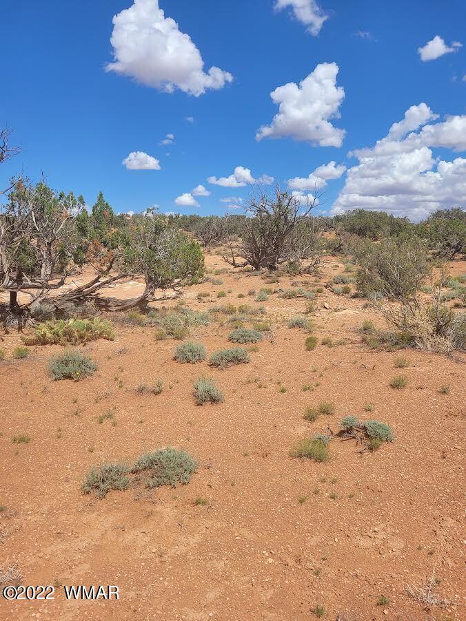 Lot 178 Chevelon Canyon Ranch Heber, AZ 85928 - Photo 2 of 5