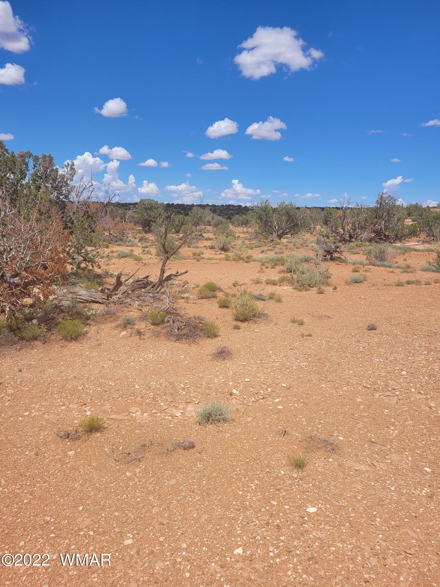 Lot 178 Chevelon Canyon Ranch Heber, AZ 85928 - Photo 3 of 5