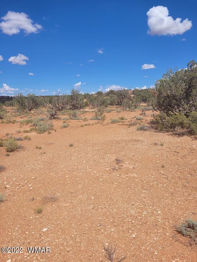 Lot 178 Chevelon Canyon Ranch Heber, AZ 85928 - Photo 5 of 5