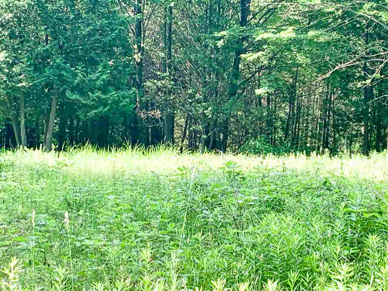 Tbd 7 Mile (86.47 Acres) Road Remus, MI 49340 - Photo 25 of 29