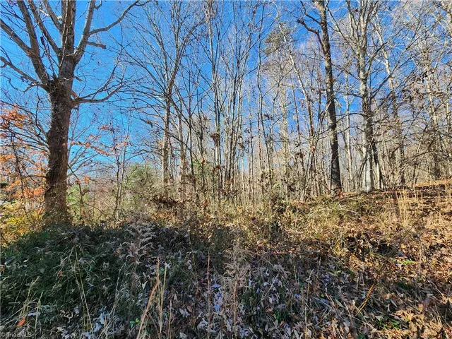 $36,000 | 501 Factory Street, Ronda, NC 28670