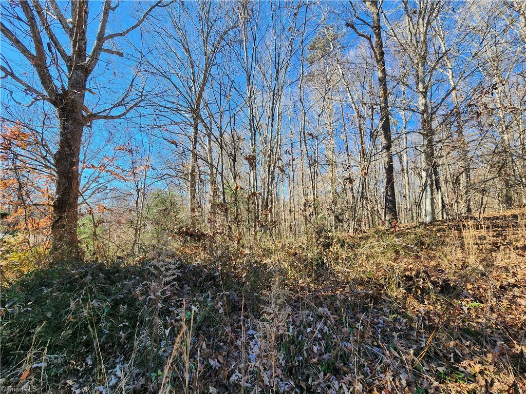 501 Factory Street Ronda, NC 28670 - Photo 2 of 4