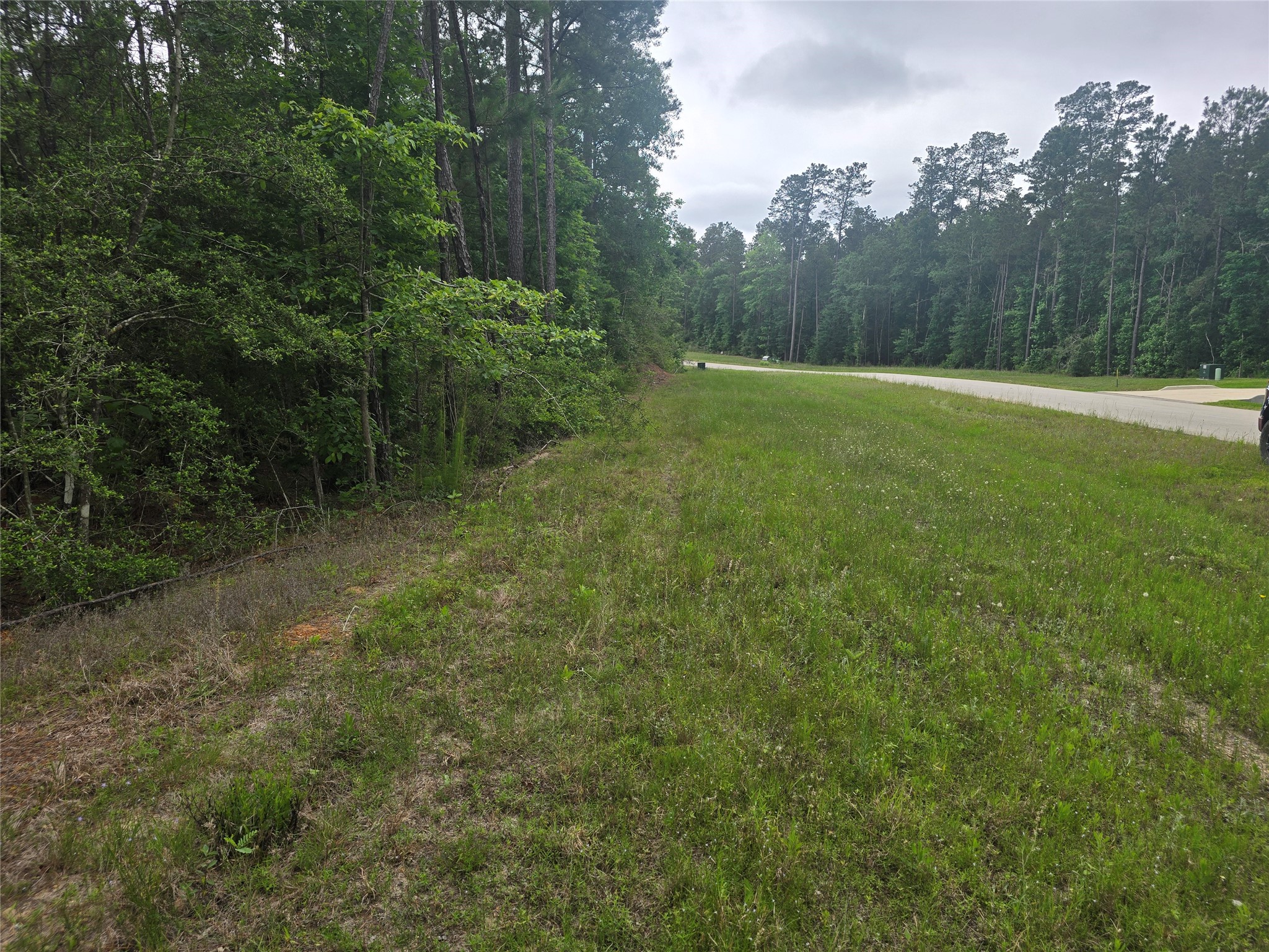 15386 Red Hawk Road Willis, TX 77378 - Photo 10 of 17