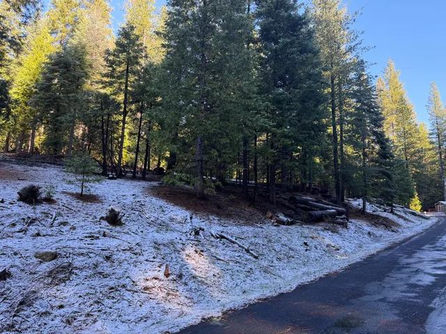 a view of a yard with trees
