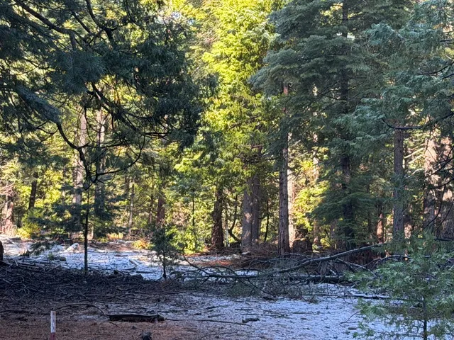 a backyard of a house with lots of trees
