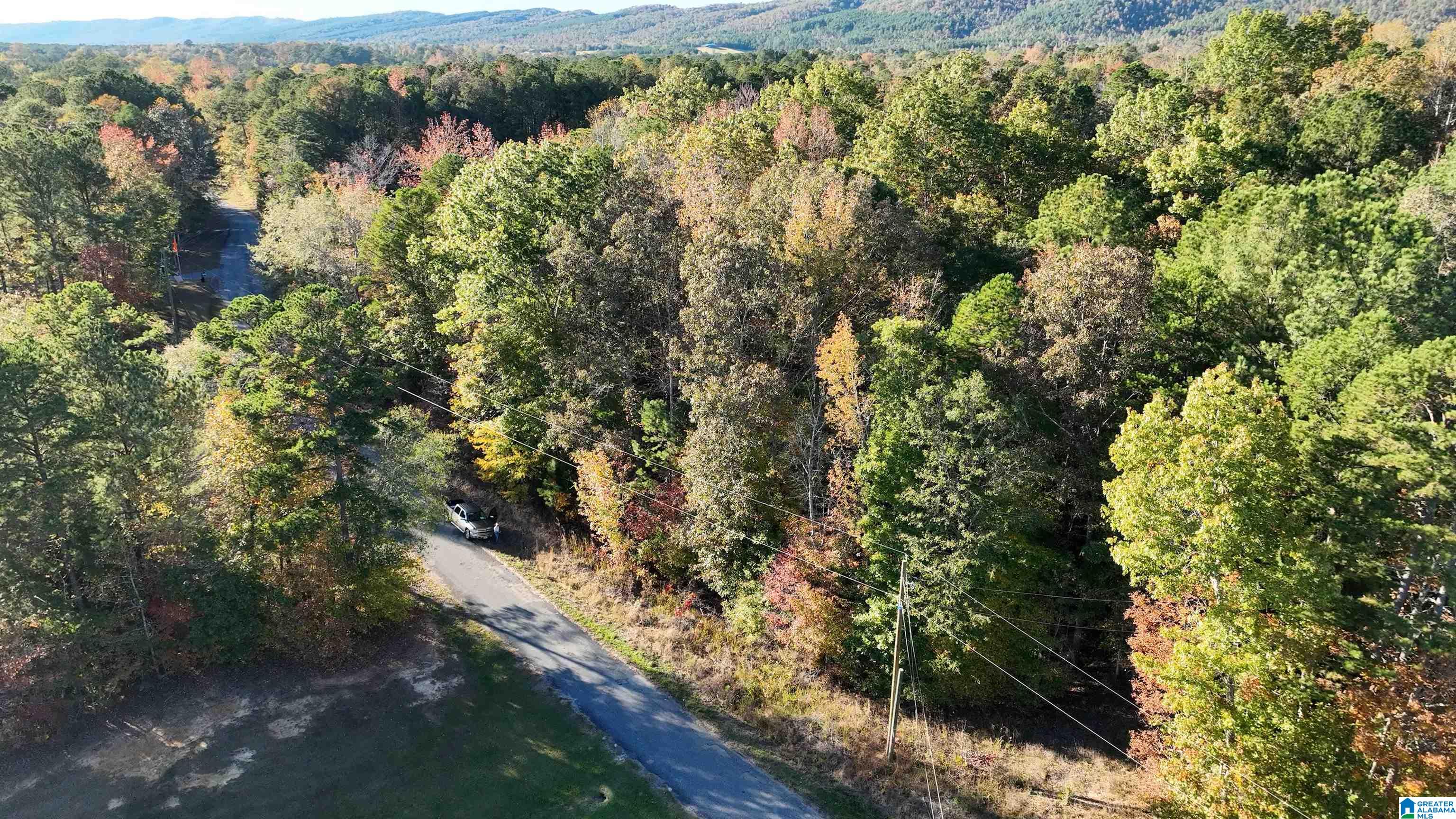 0 Waldrop Road, Unit 10 82 ACRES Ashville, AL 35953 - Photo 6 of 22