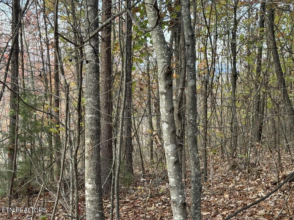 3 Point - Tract 3 Road, Unit 4 03 Vonore, TN 37885 - Photo 6 of 7 3177B3AF-137D-405F-BE9F-47D2C69888B4_1_1