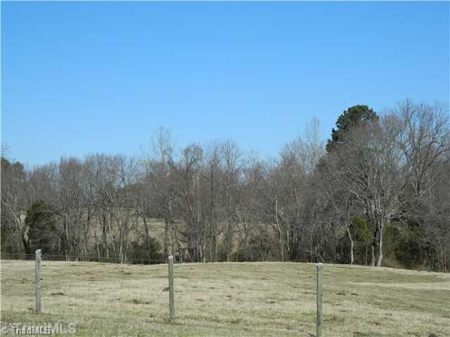View. Approximately 13 Acres of Fenced Pasture