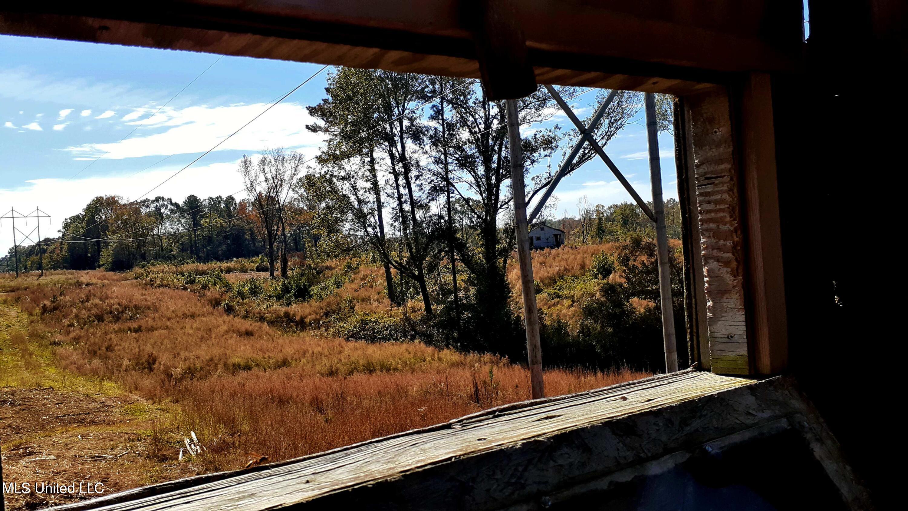 392 Abernathy Road Flora, MS 39071 - Photo 20 of 34 20211110_112118