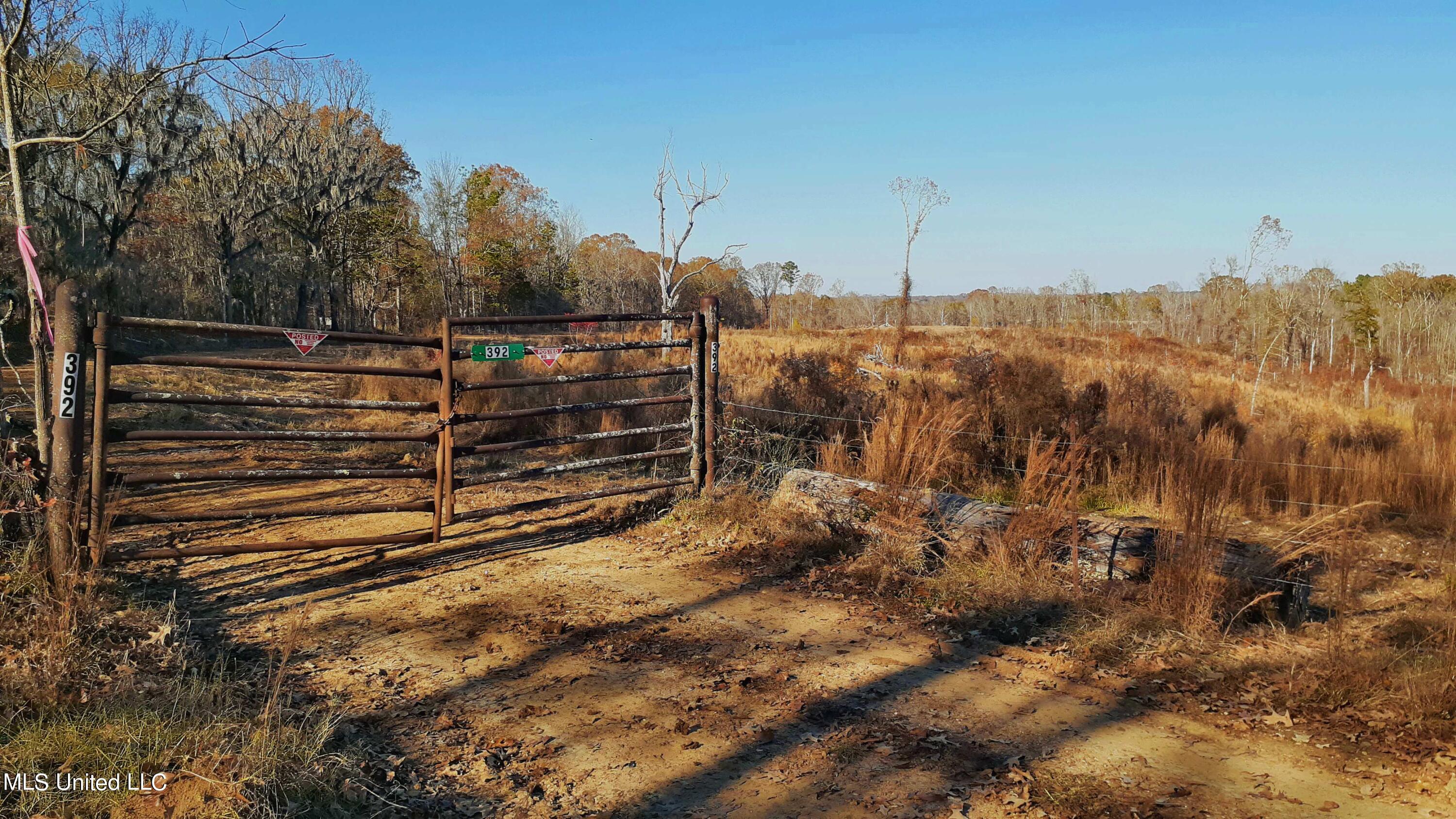 392 Abernathy Road Flora, MS 39071 - Photo 2 of 34 gate photo edited