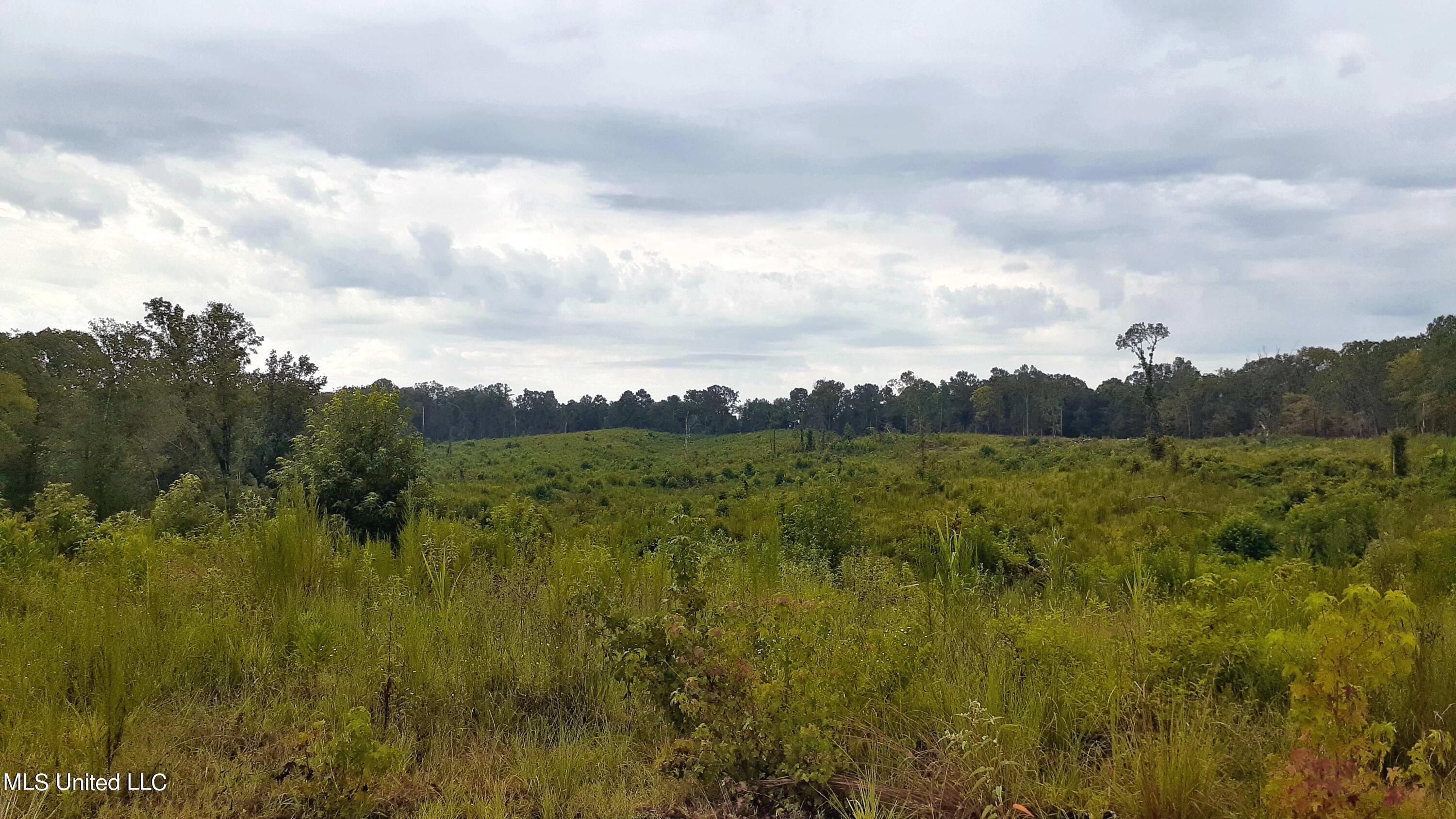 392 Abernathy Road Flora, MS 39071 - Photo 21 of 34 20210814_084024