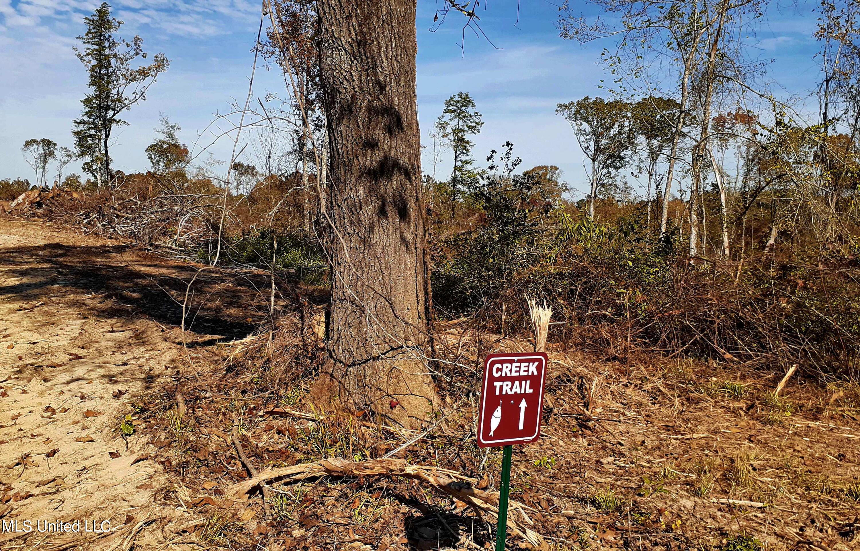 392 Abernathy Road Flora, MS 39071 - Photo 23 of 34 20211110_105306