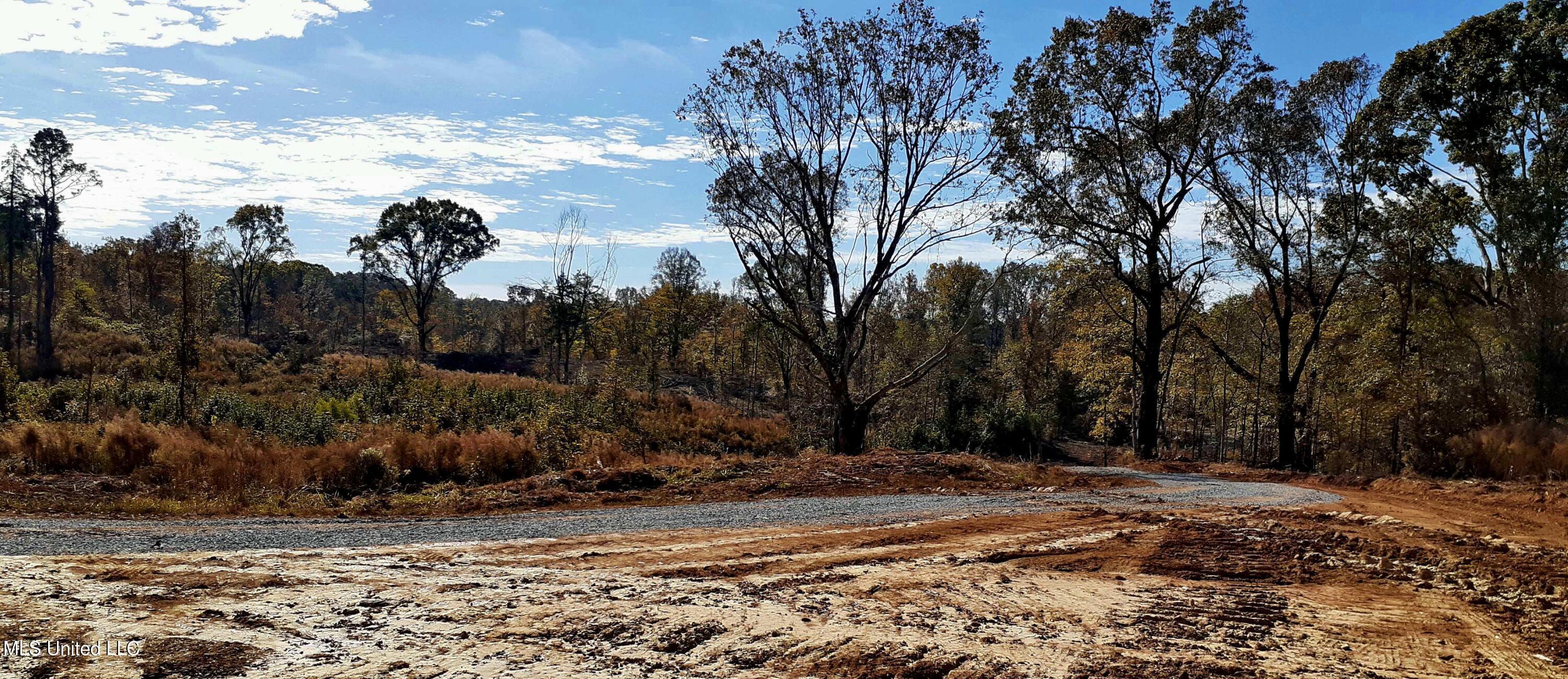 392 Abernathy Road Flora, MS 39071 - Photo 29 of 34 20211110_101008