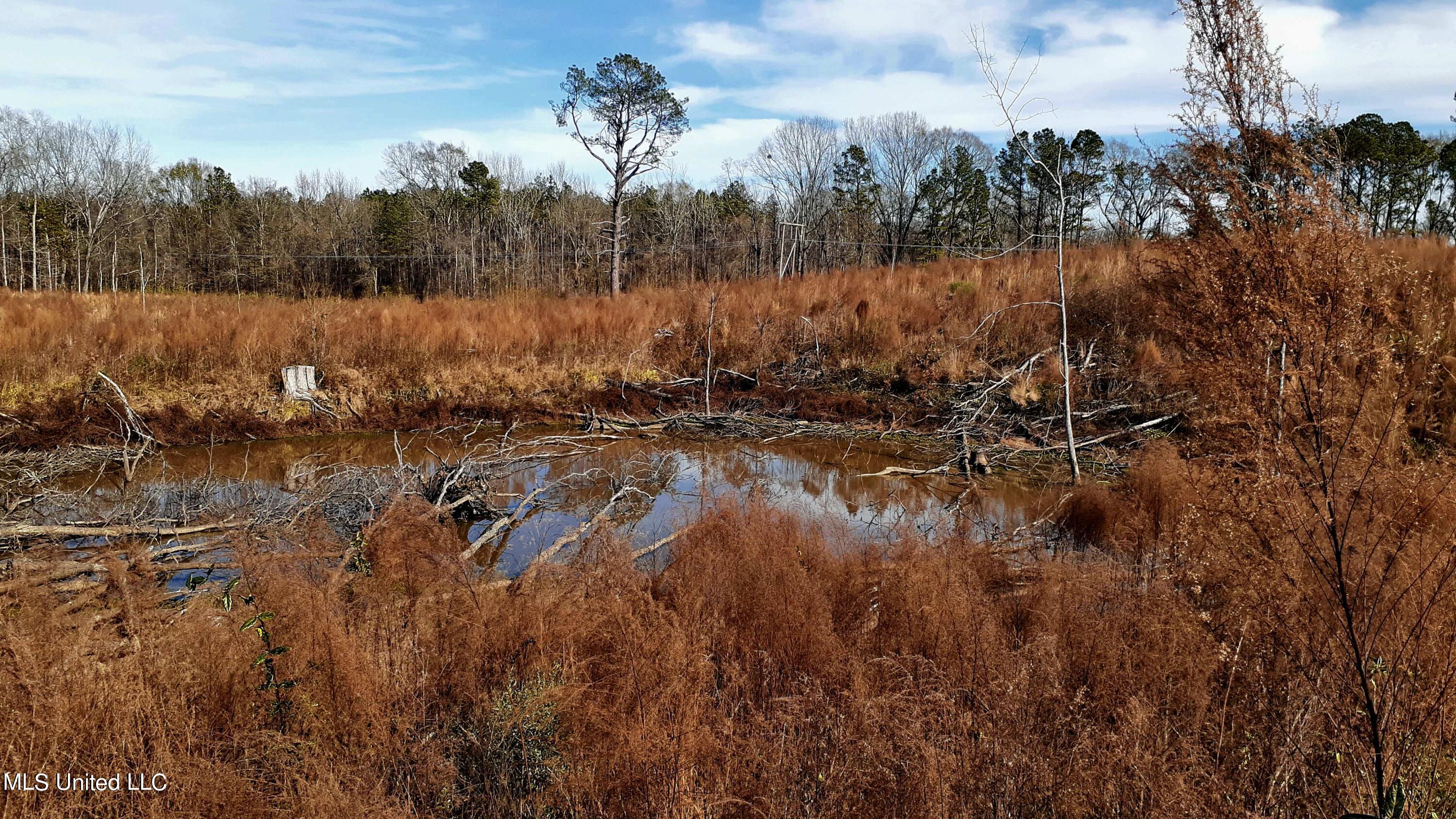 392 Abernathy Road Flora, MS 39071 - Photo 31 of 34 20220114_123922 - Copy