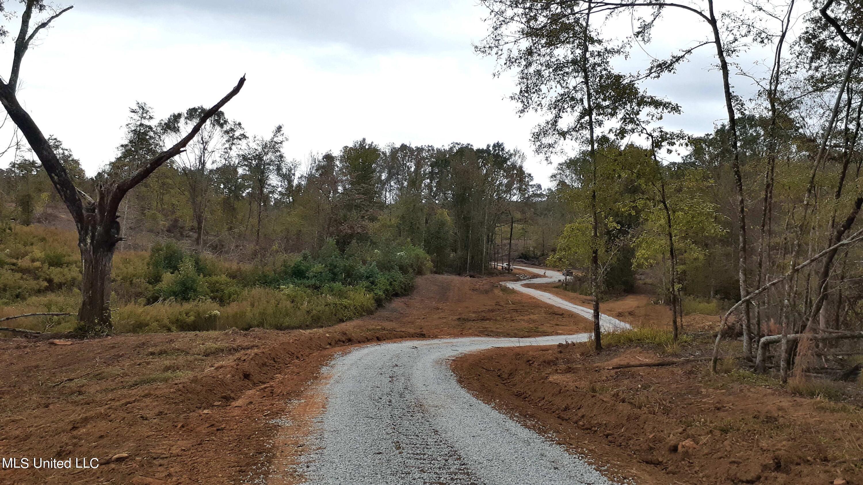 392 Abernathy Road Flora, MS 39071 - Photo 5 of 34 20211027_141346