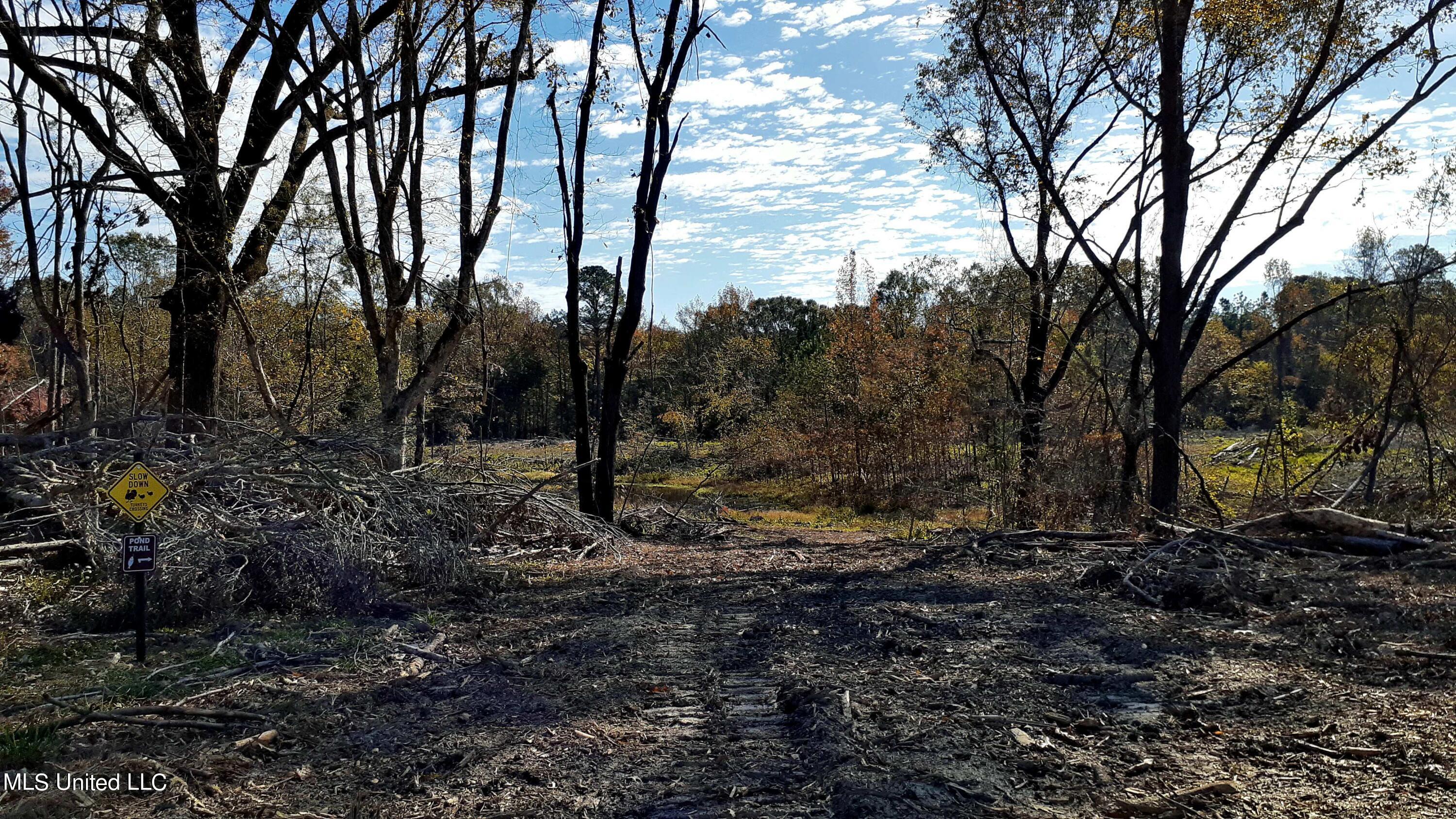 392 Abernathy Road Flora, MS 39071 - Photo 7 of 34 20211110_104133