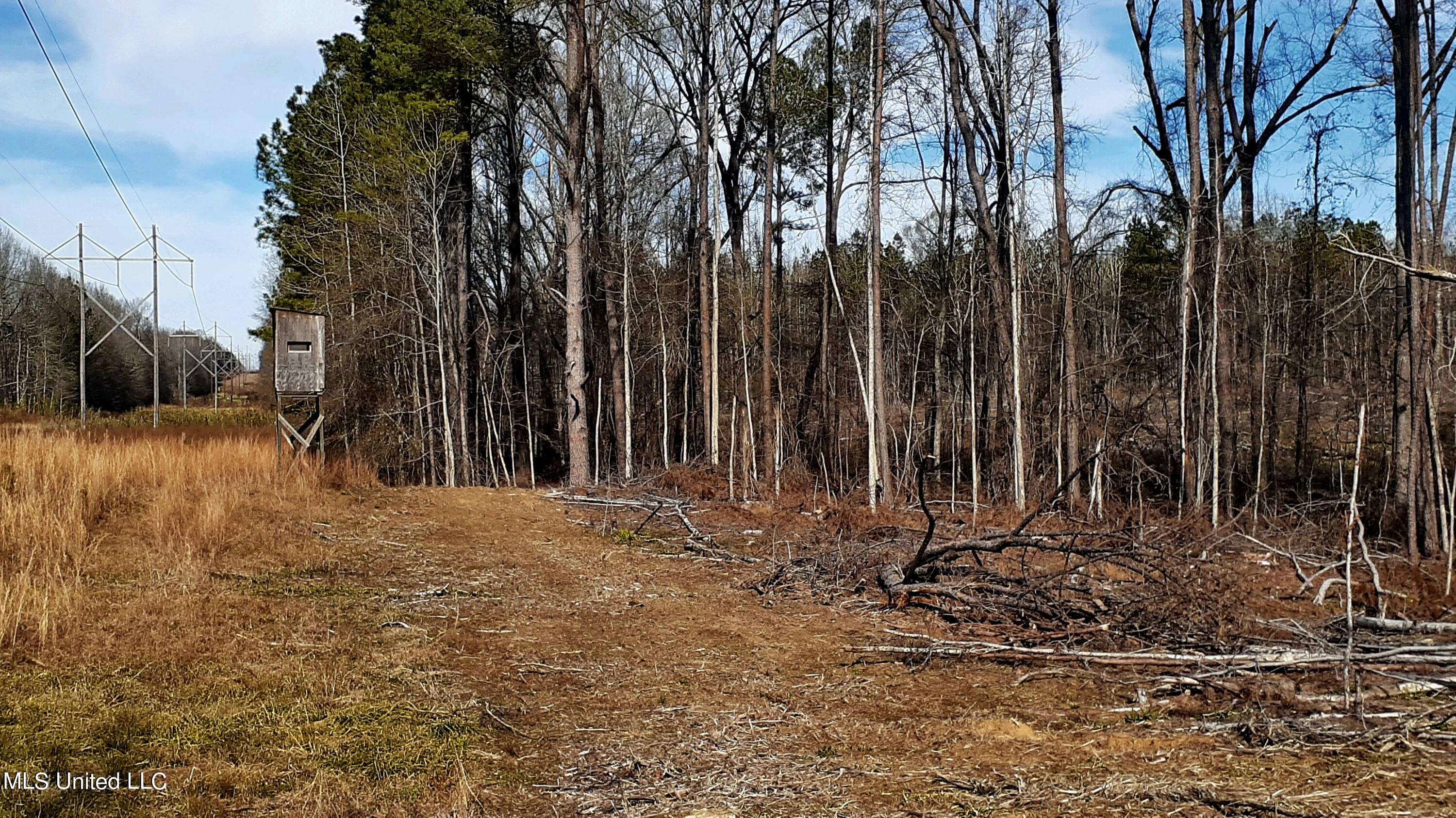 392 Abernathy Road Flora, MS 39071 - Photo 9 of 34 20220114_120034 - Copy