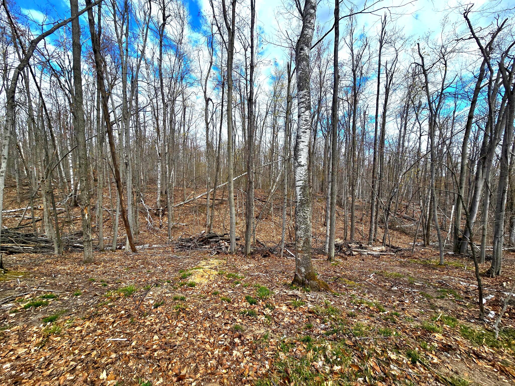 814 Timber Valley Road Gaylord, MI 49735 - Photo 51 of 60 Backyard