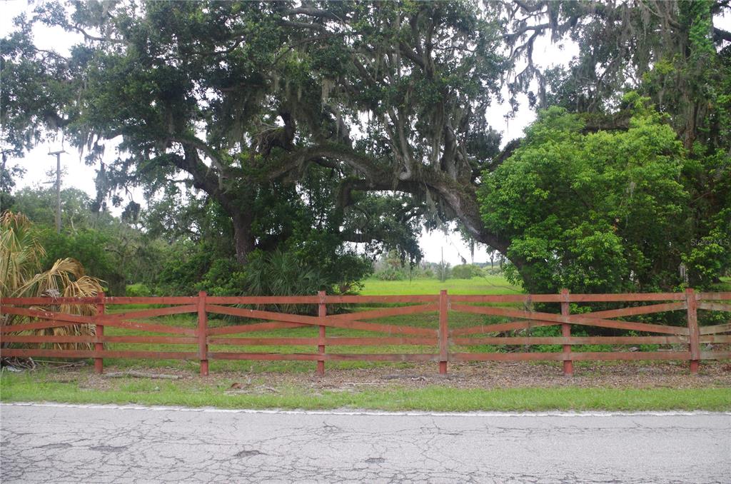 6501 Muck Pond Road Seffner, FL 33584 - Photo 12 of 21 a view of a yard with a tree