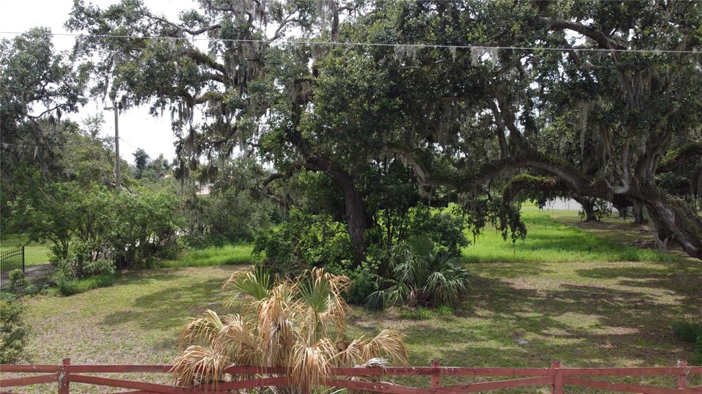 6501 Muck Pond Road Seffner, FL 33584 - Photo 13 of 21 a view of a yard
