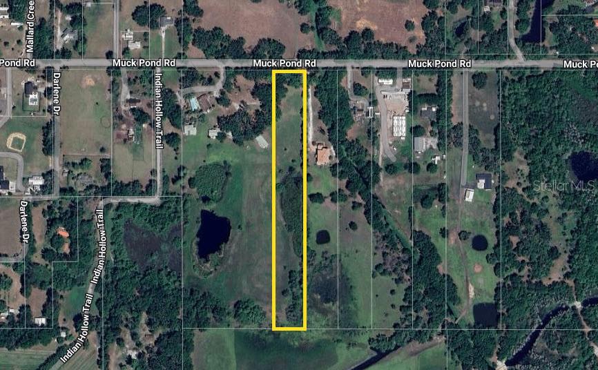 6501 Muck Pond Road Seffner, FL 33584 - Photo 2 of 21 a view of a water pond with lots of green trees