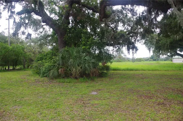 a view of outdoor space with green field and trees