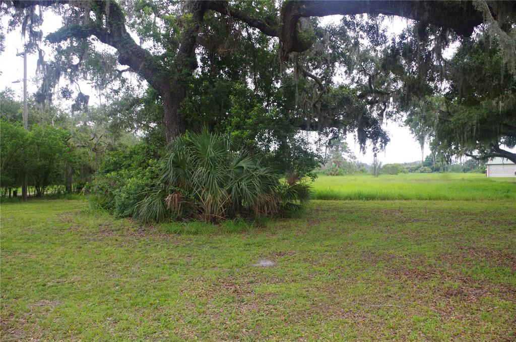 6501 Muck Pond Road Seffner, FL 33584 - Photo 5 of 21 a view of outdoor space with green field and trees
