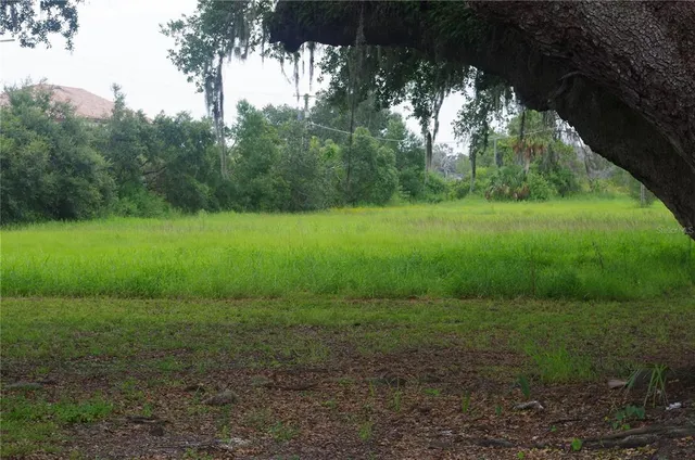 a view of backyard with green space