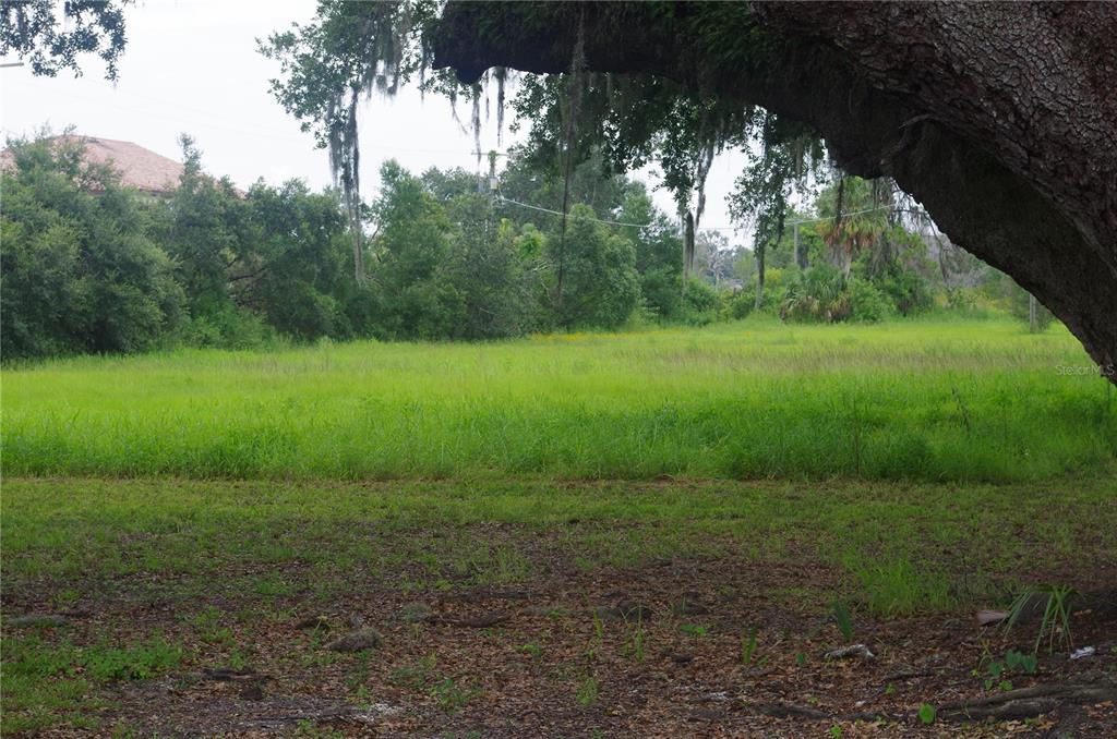 6501 Muck Pond Road Seffner, FL 33584 - Photo 8 of 21