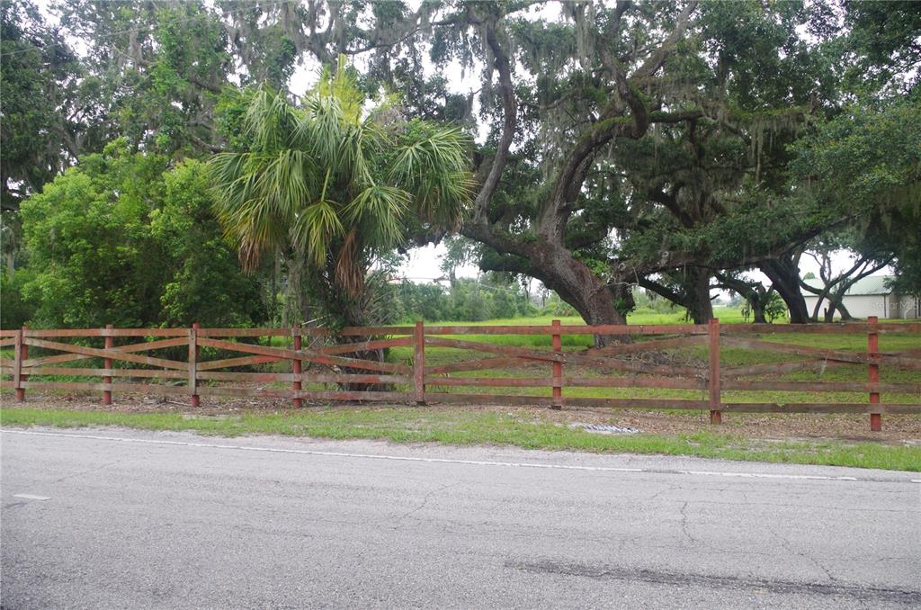 6501 Muck Pond Road Seffner, FL 33584 - Photo 9 of 21 a view of backyard with green space