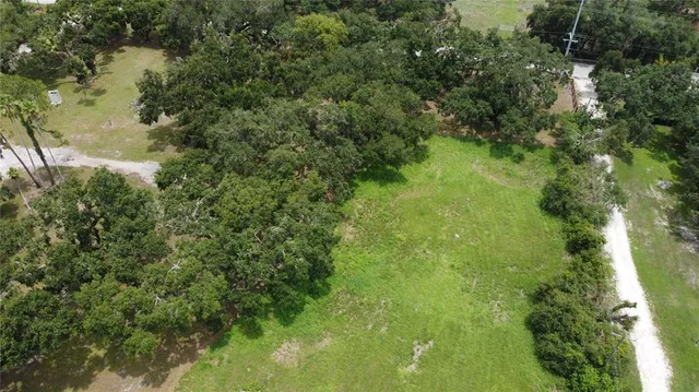 an aerial view of green landscape with trees houses and mountain view
