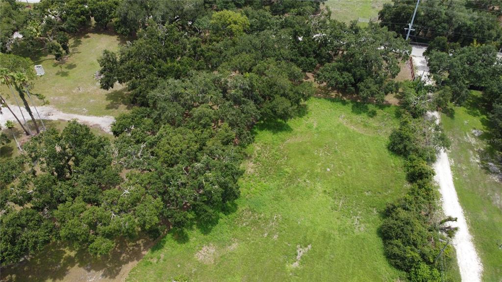 6501 Muck Pond Road Seffner, FL 33584 - Photo 10 of 21 a view of a forest