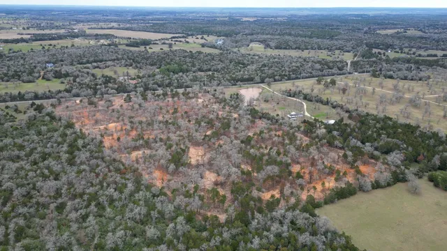 a view of a dry yard with lots of trees