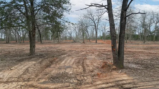 a view of a yard with trees